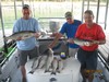(08/31/2014) - Nice Striped Bass